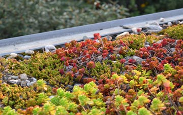 the cost of Stanfield green roof installation