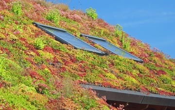 Stanfield living roof systems