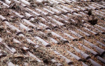 Stanfield roof cleaning companies